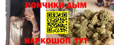 прущие грибы Канаш