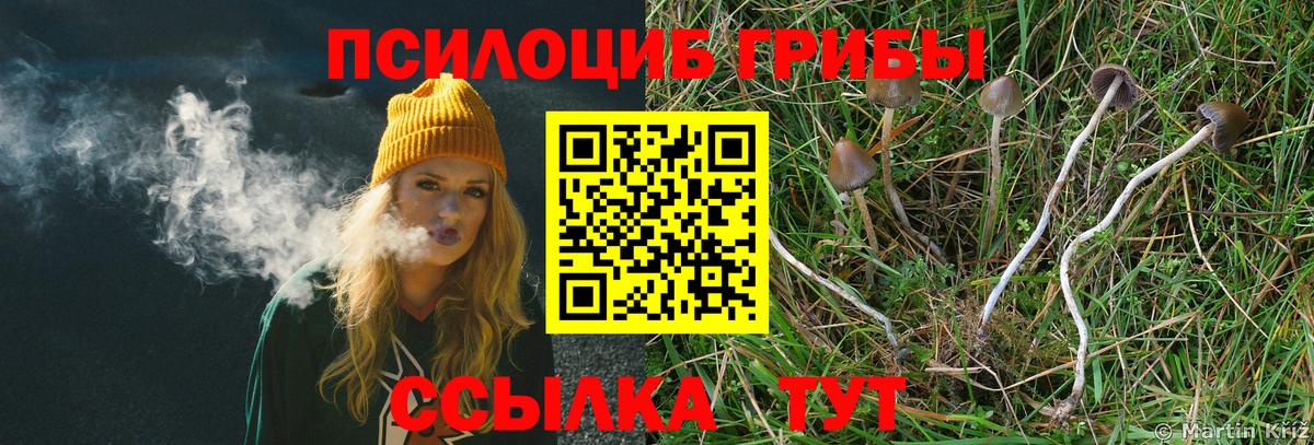 Псилоцибиновые грибы мухоморы Малоярославец