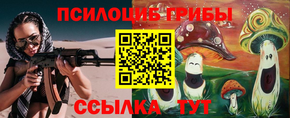 Малоярославец  Псилоцибиновые грибы Psilocybe  Вход с VPN 